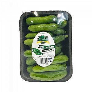 מלפפון מיני מלפפון מיני