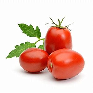 עגבניה תמר עגבניה תמר