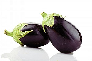 חציל בלאדי חציל בלאדי