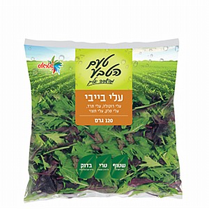 שטראוס - עלי בייבי שטראוס - עלי בייבי