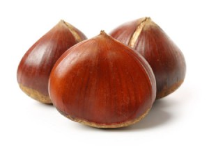 ערמונים ערמונים