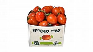 עגבניות שרי "סוכריה" IL עגבניות שרי "סוכריה" IL
