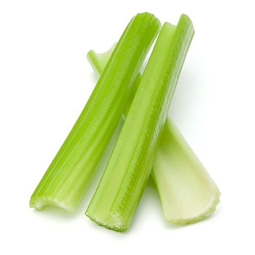 ���� �����