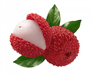 ' 