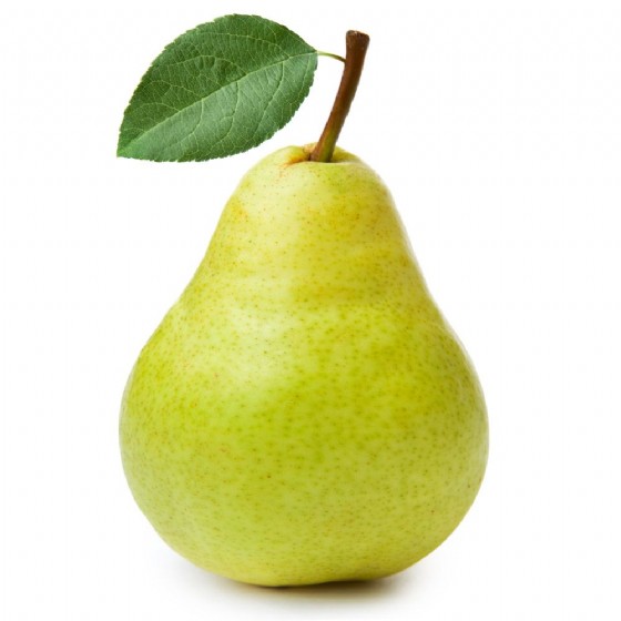 ��� ���� ����� L