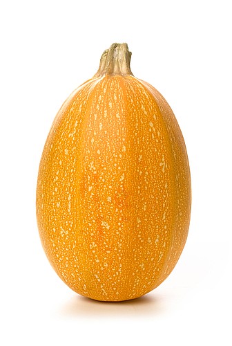 ���� �����
