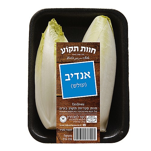 אנדיב/עולש