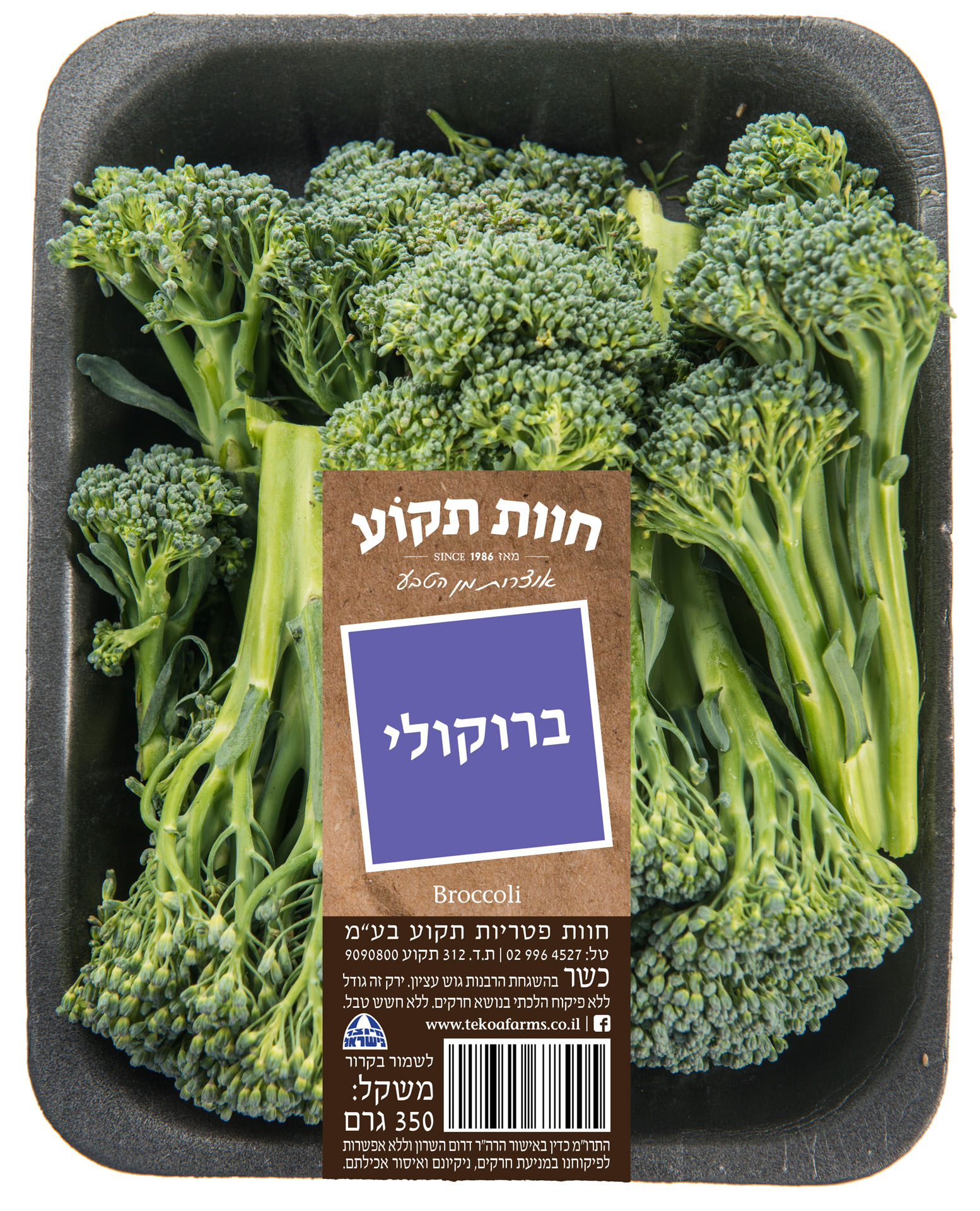 בייבי ברוקולי יח'