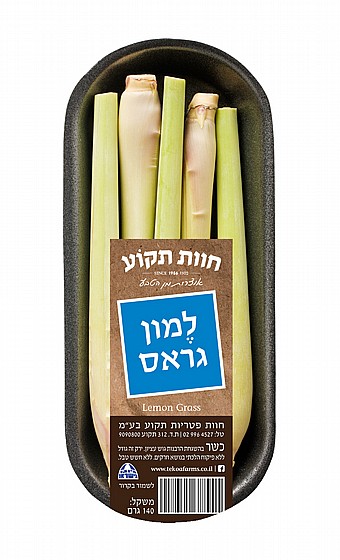 גבעול למון גראס טרי