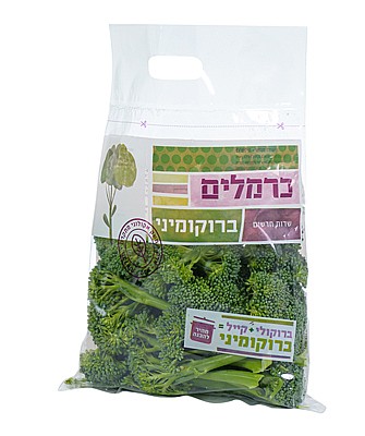 ברוקומיני