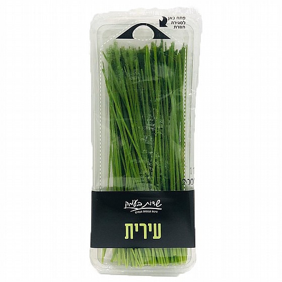 עירית בנספק פ/ס חוזר