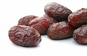 תמר מג'הול תמר מג'הול