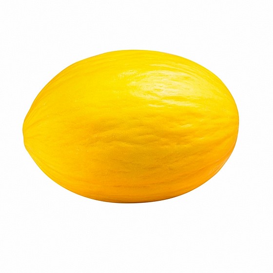 ���� ����