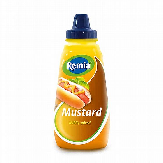 ���� ���� ������ - "REMIA"