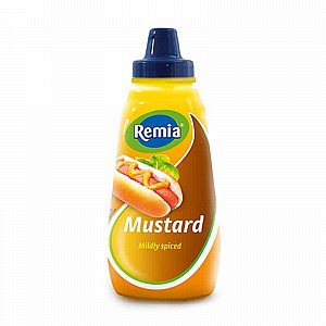 ���� ���� ������ - "REMIA"