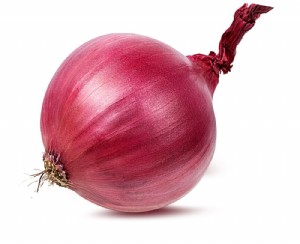 בצל סגול בצל סגול
