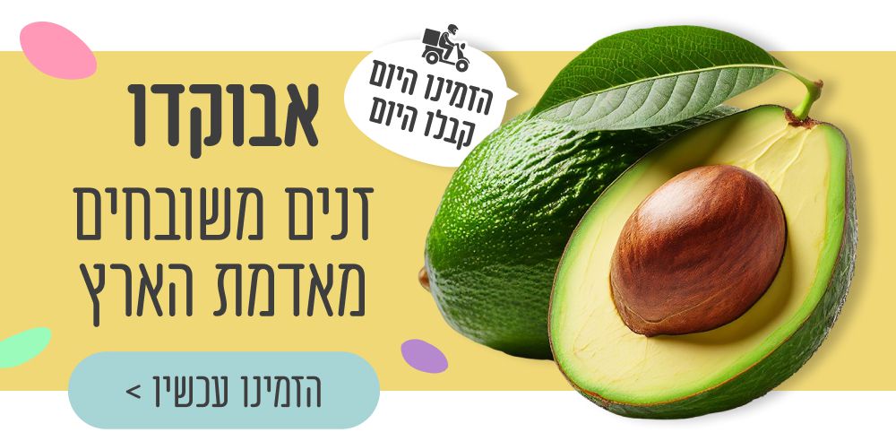 אבוקדו